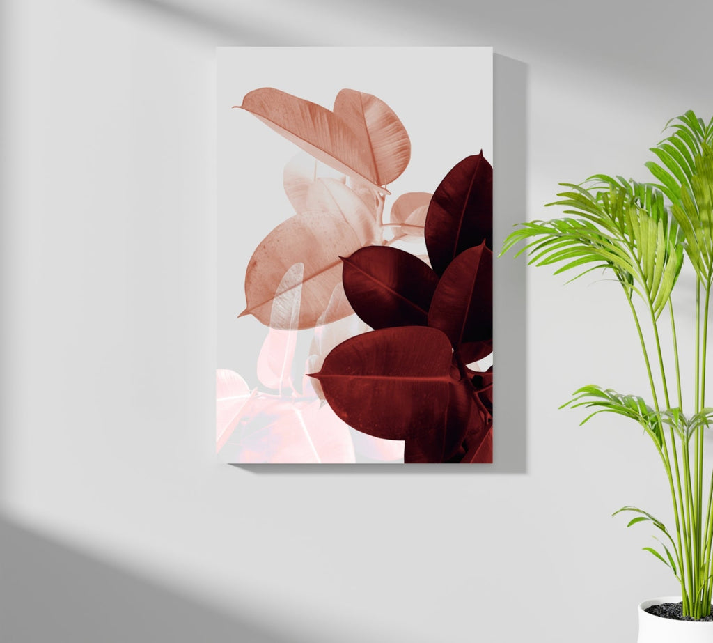 Blush and Burgundy Rubber Plant Leaves Aluminum Print