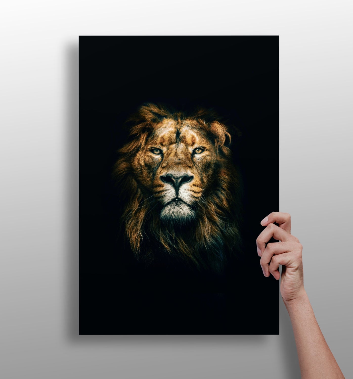 Dramatic Dark Lion Portrait Aluminum Print