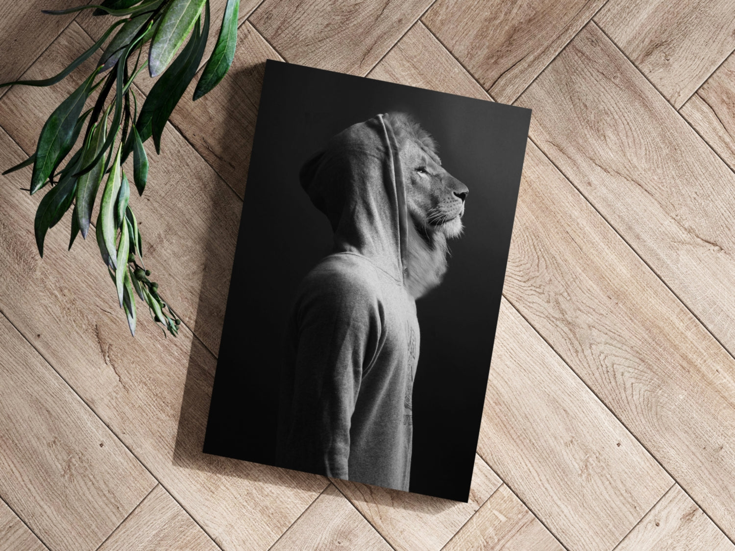 Lion in Hoodie Black White Aluminum Print
