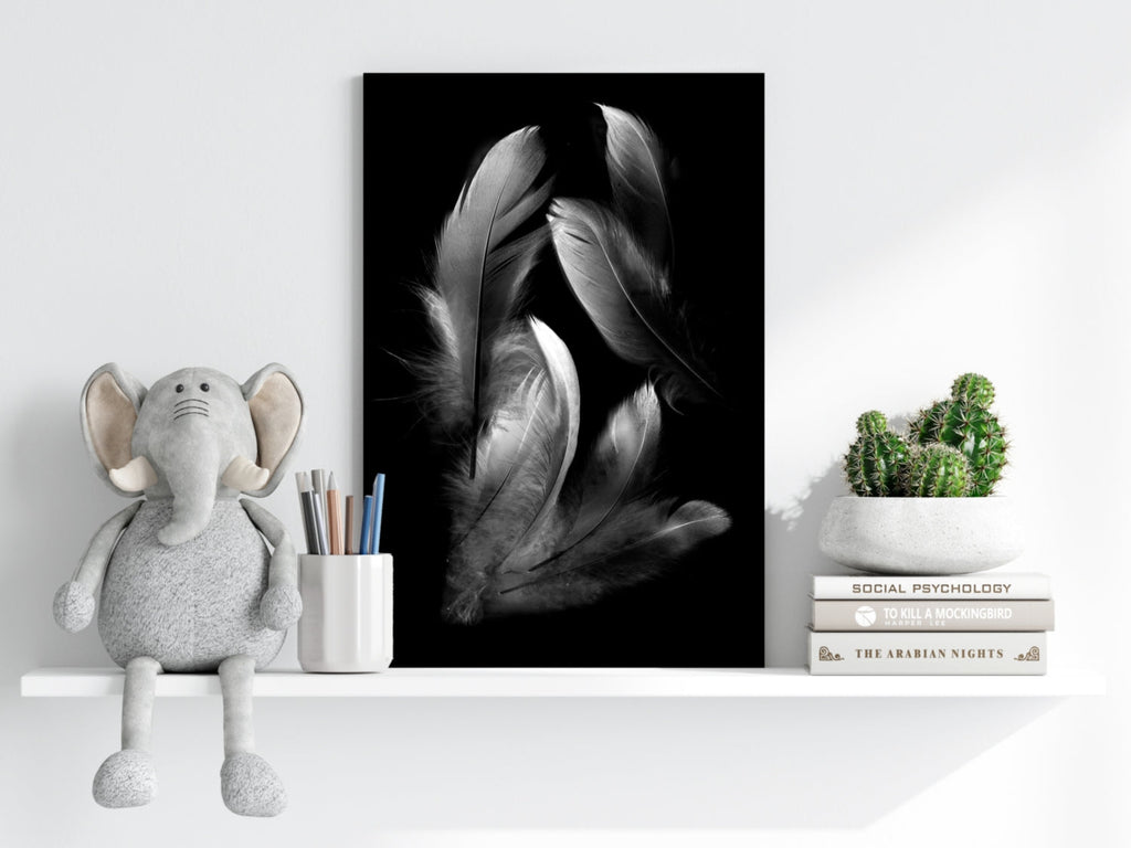 White Feather Cluster On Black Aluminum Print