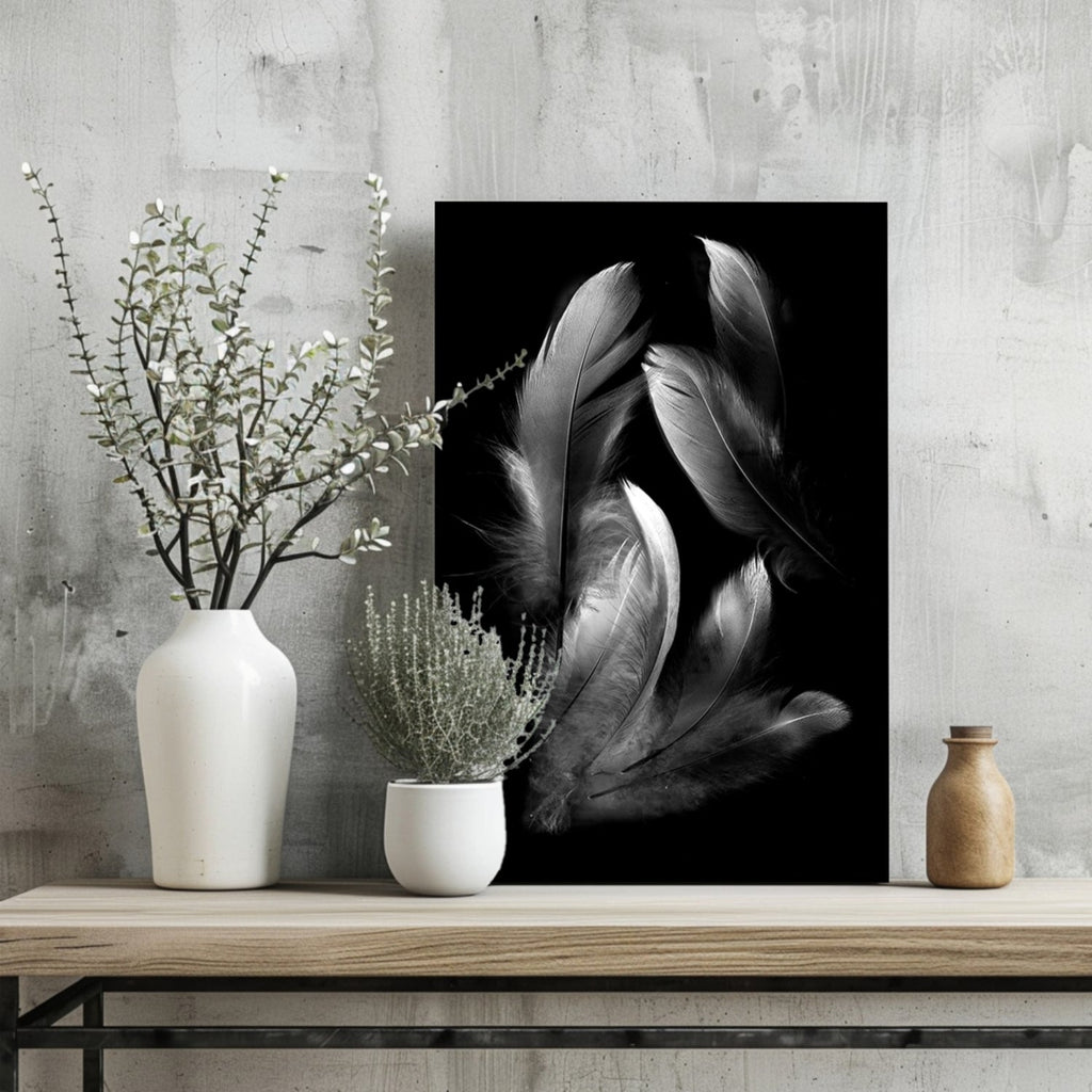 White Feather Cluster On Black Aluminum Print