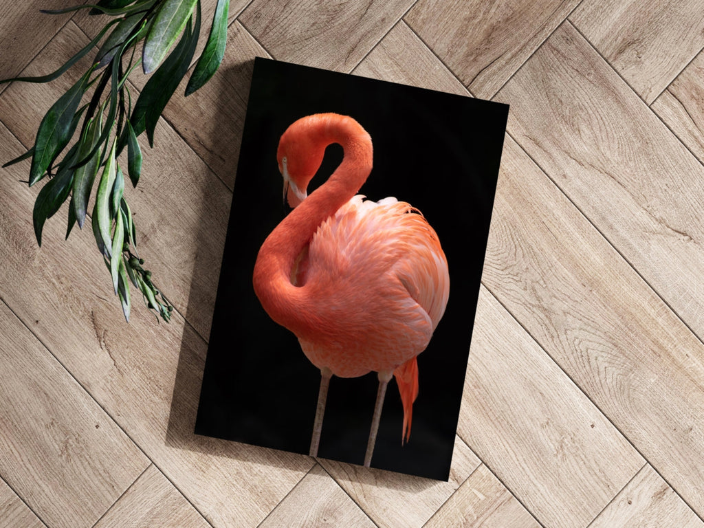 Coral Flamingo Curved Neck Aluminum Print