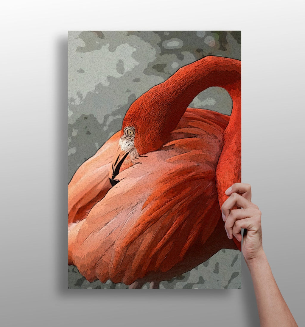 Preening Flamingo Close Up Aluminum Print