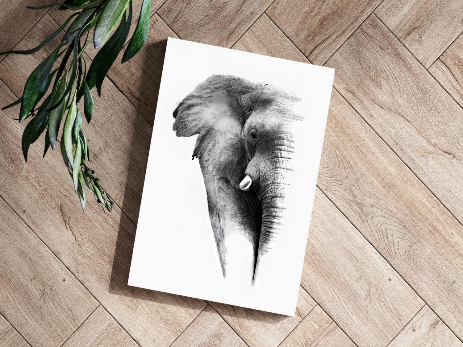 Soft Pencil Sketch Fading Elephant Head Aluminum Print