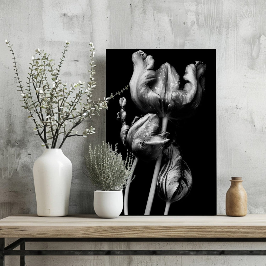 Silver Parrot Tulips Noir Aluminum Print