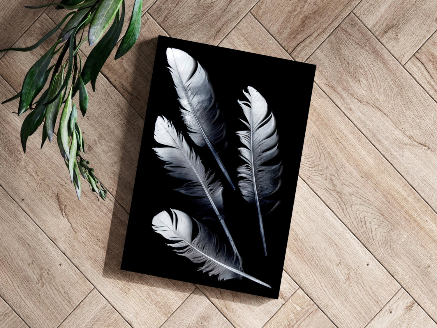 Four Silver Quill Feathers Black Aluminum Print