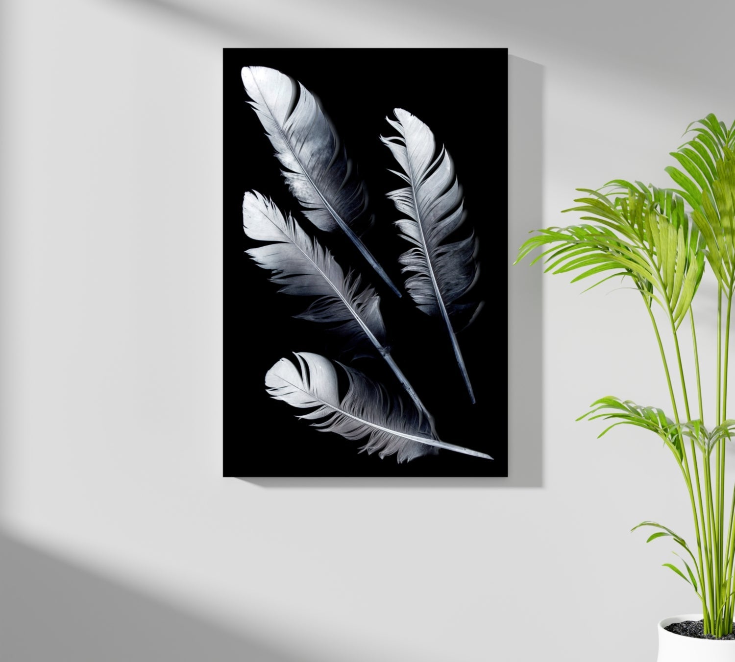 Four Silver Quill Feathers Black Aluminum Print