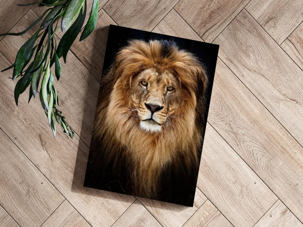 Majestic Golden Lion Portrait Aluminum Print