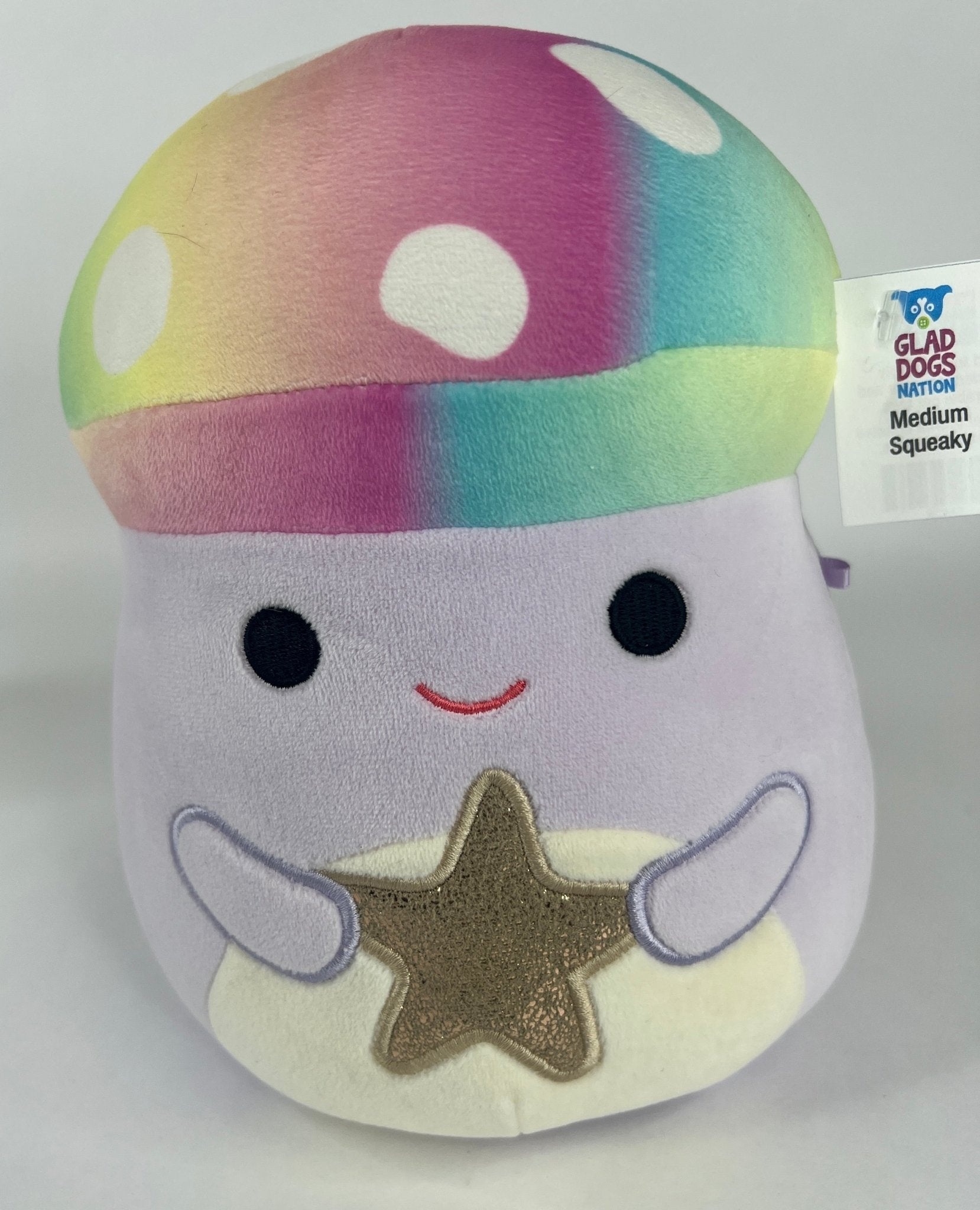 BOGO! Medium Squishy Cuddlers Super Soft Plush Pet Toys: Squeak & NO Squeak