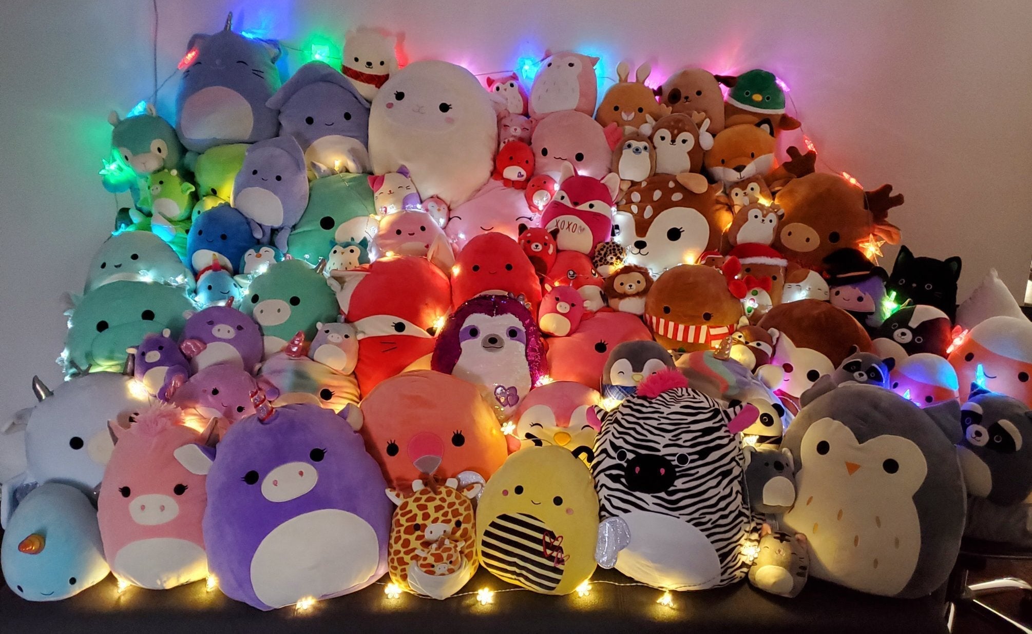 BOGO! Small Squishy Cuddlers Super Soft Plush Pet Toys: Squeak & NO Squeak
