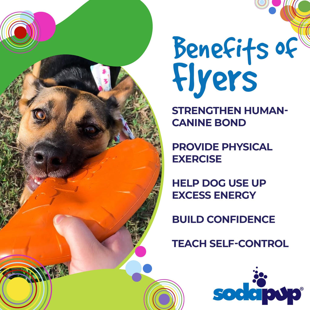Bottle Top Flyer Rubber Frisbee for Dogs | Orange | Vet Approved | USA Made - PhishStones Products