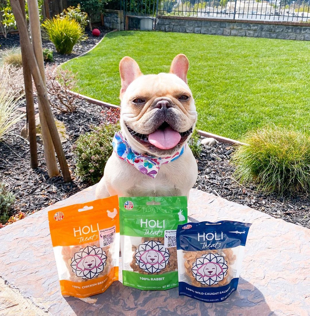Wild Caught Salmon Dog Food Topper - Freeze Dried - Single Ingredient