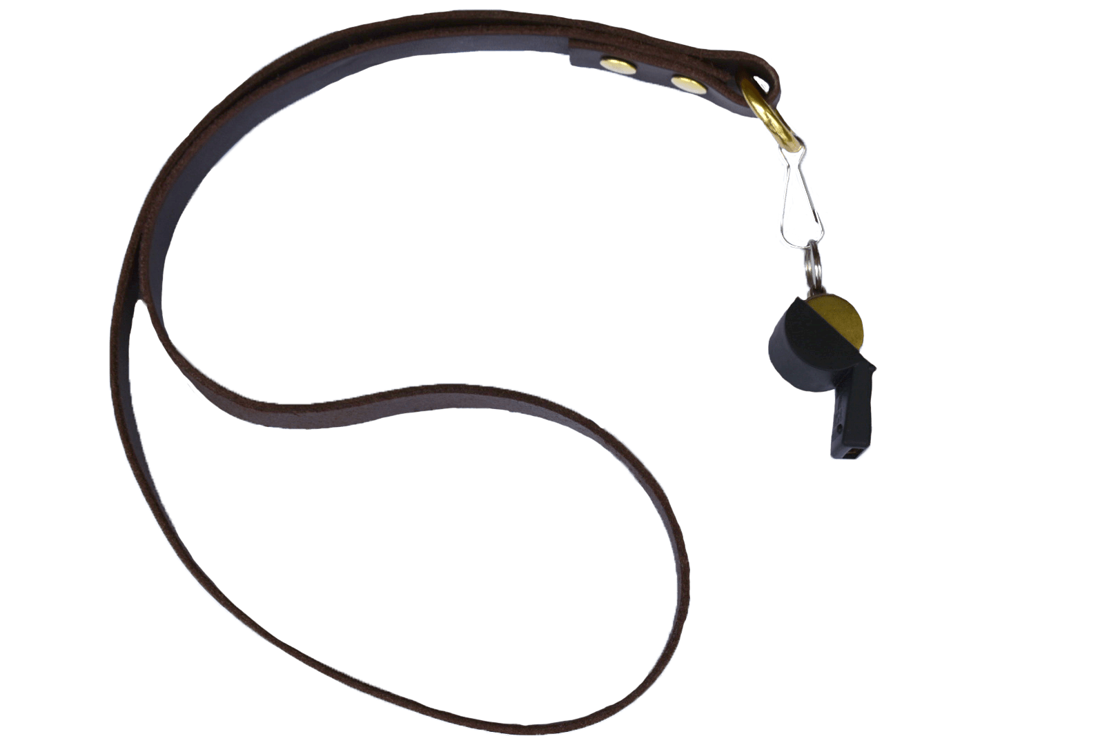 Brass - Gold Plated Dog Whistle With Leather Lanyard - PhishStones Products
