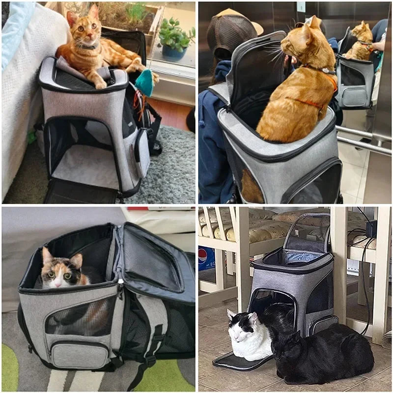Breathable Foldable Expandable Pet Carrier Backpack for Cats & Small Dogs, Fits Pets up to 6.5 kg (14.3 lb) - PhishStones Products