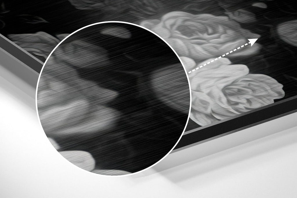 Skull and Roses Brushed Aluminium Dibond Wall Art