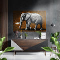 Gray Elephant Amber Backdrop Brushed Aluminium Dibond Wall Art