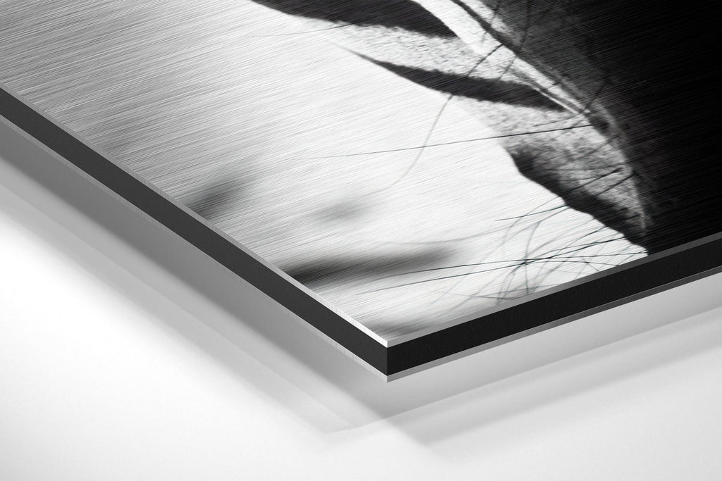 Zebra Face Front Stripes Close Up Brushed Aluminium Dibond Wall Art