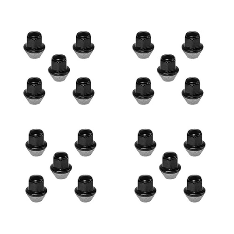 Ford Racing M12 x 1.5 Black Lug Nut - Set of 20 M-1012K-BSB