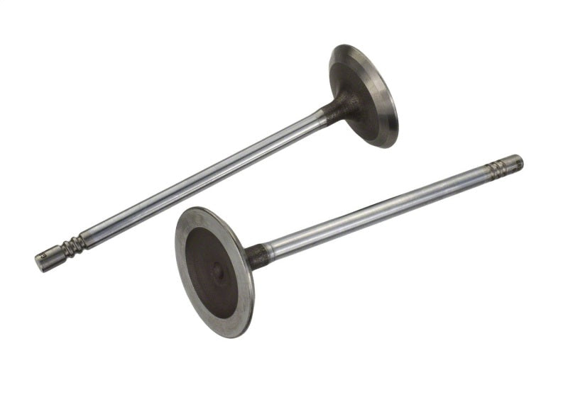 Ford Racing Coyote 5.2L Lightweight Intake Valve - Set of 8 M-6507-M52