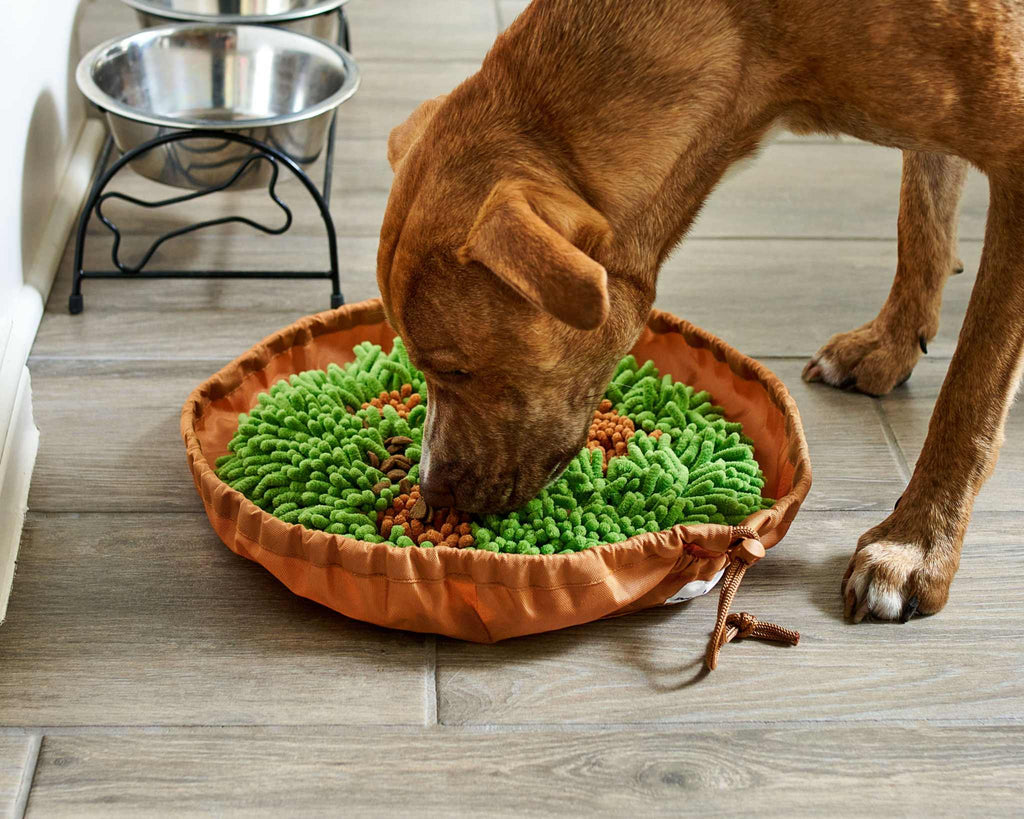 Forager® Bowl w/SoftSnout™