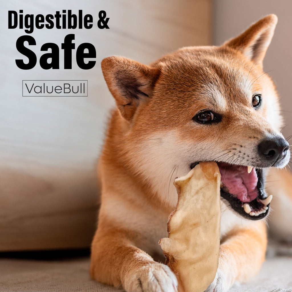 ValueBull USA Collagen Chips Dog Chews, Natural Long-Lasting Dog Treats, 50 Count