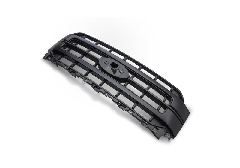 Ford Racing 2021 F-150 Black Painted Grille M-8200-F15A
