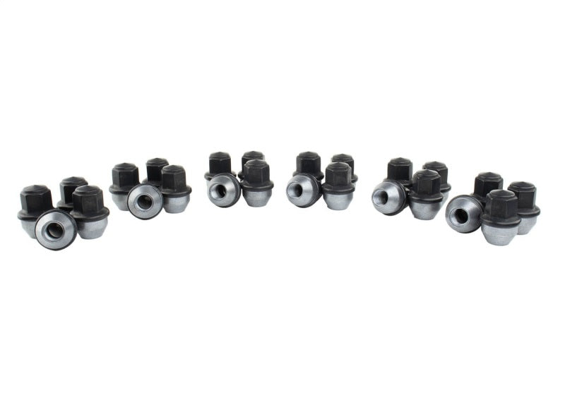 Ford Racing M14 x 1.5 Black Lug Nut - Set of 24 M-1012K-F15B