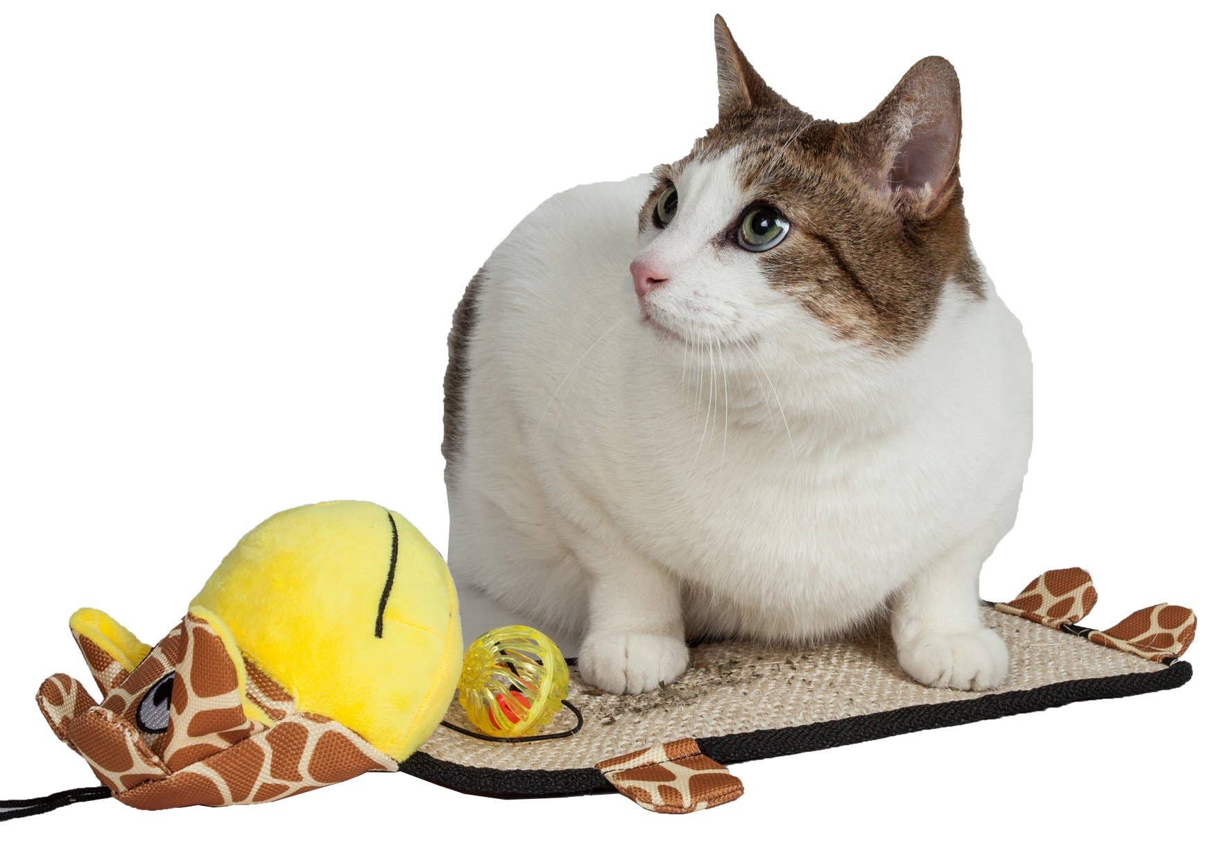 🐈💕🌿Eco-Natural Sisal Scratcher & Toy
