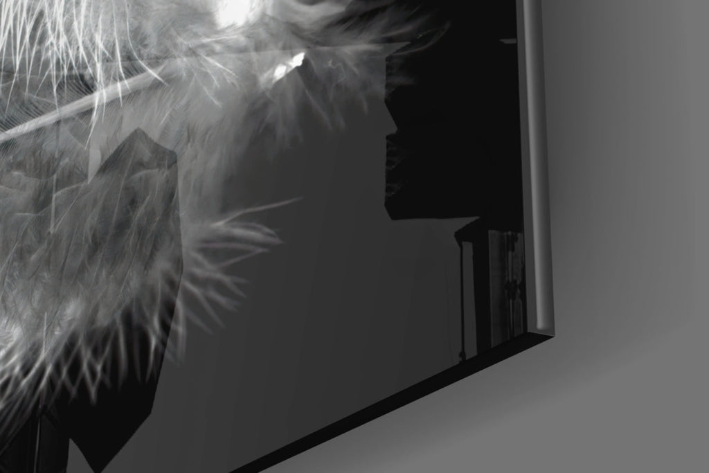 Soft White Feather Black Glass Wall Art