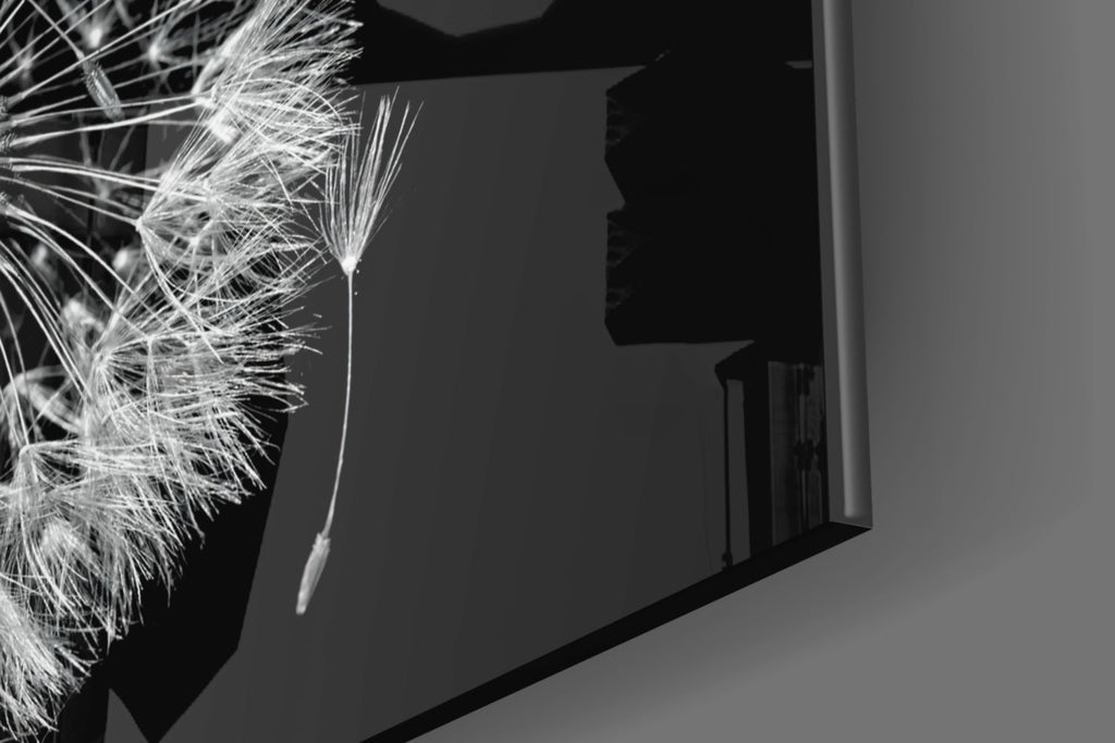 Dandelion Seeds Drifting Black Glass Wall Art
