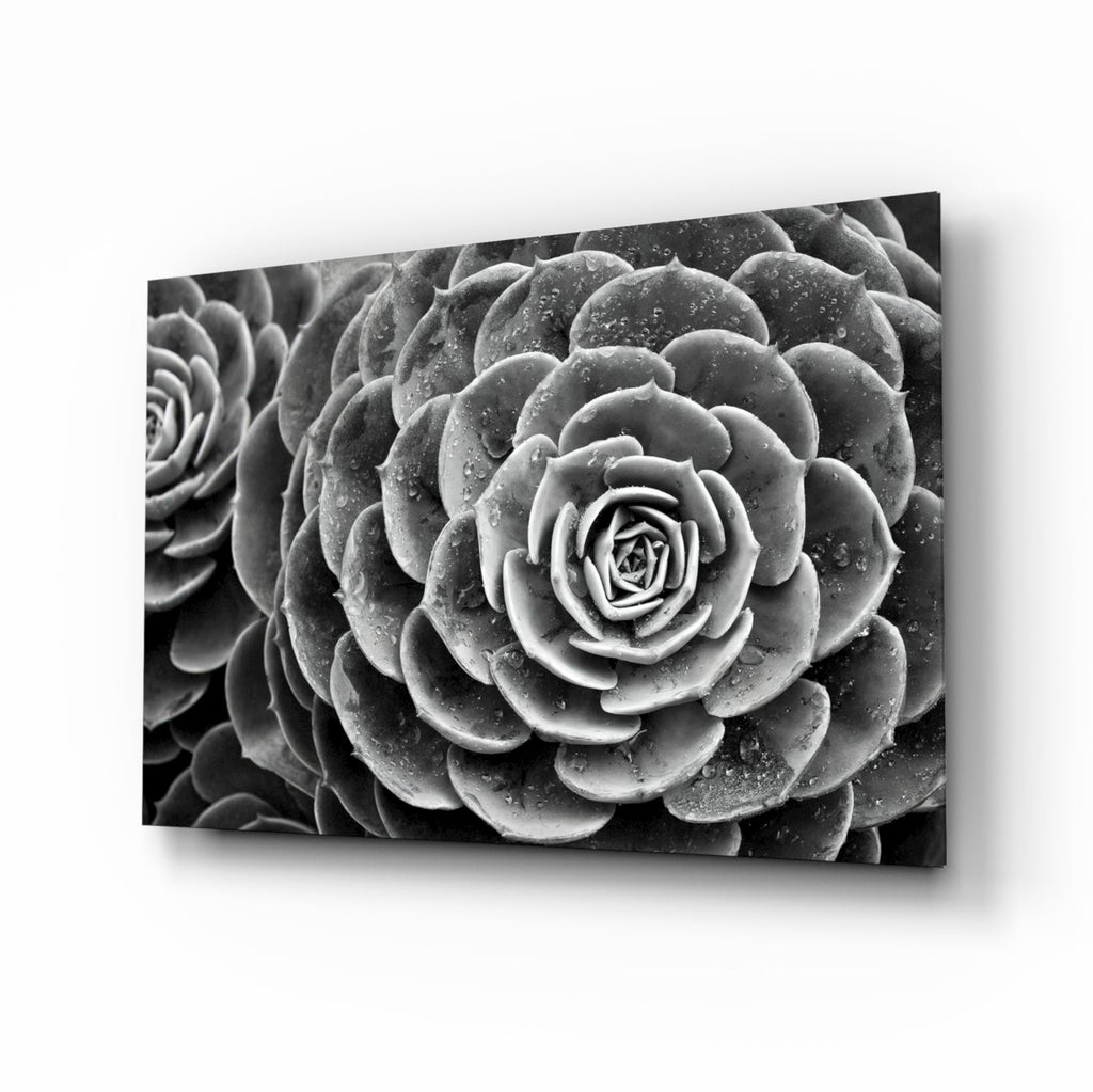 Monochrome Succulent Rosette Glass Wall Art