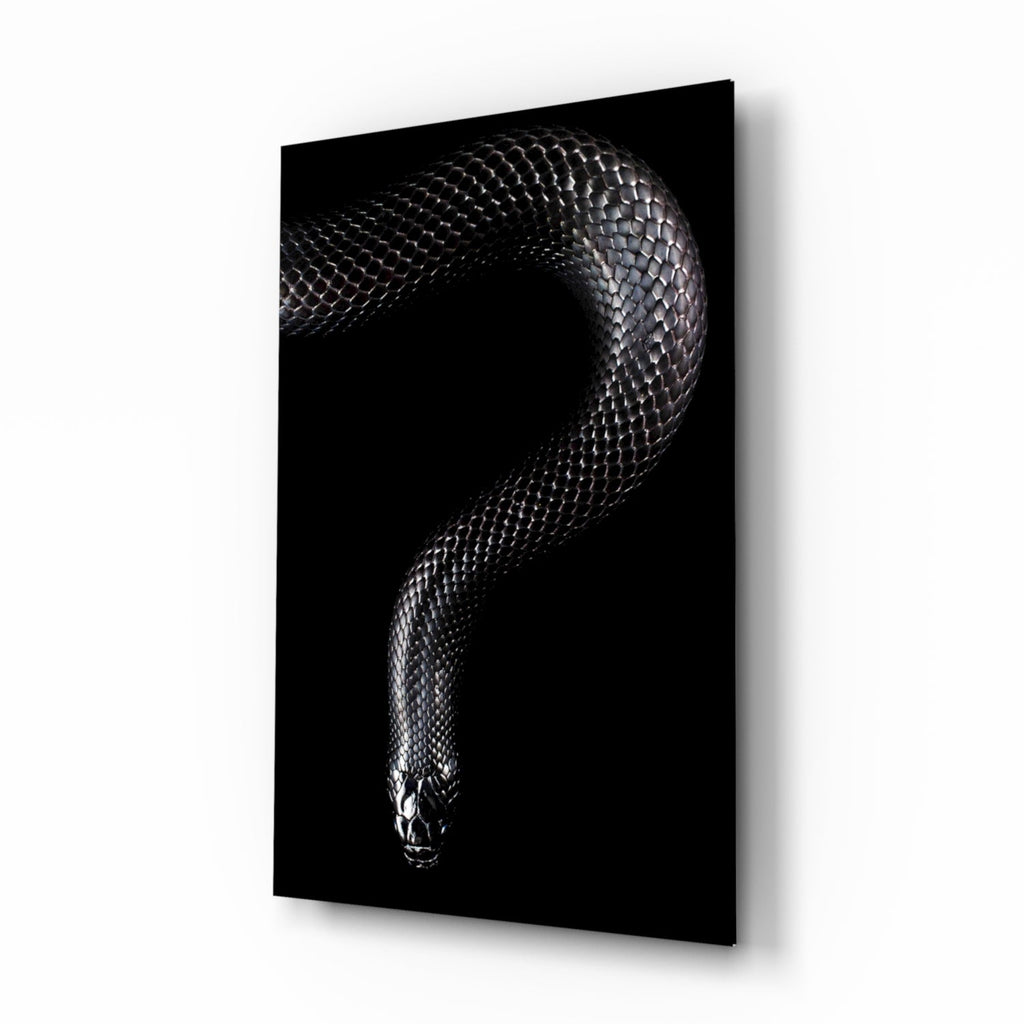 Silver Scaled Snake Descending Dark Glass Wall Art