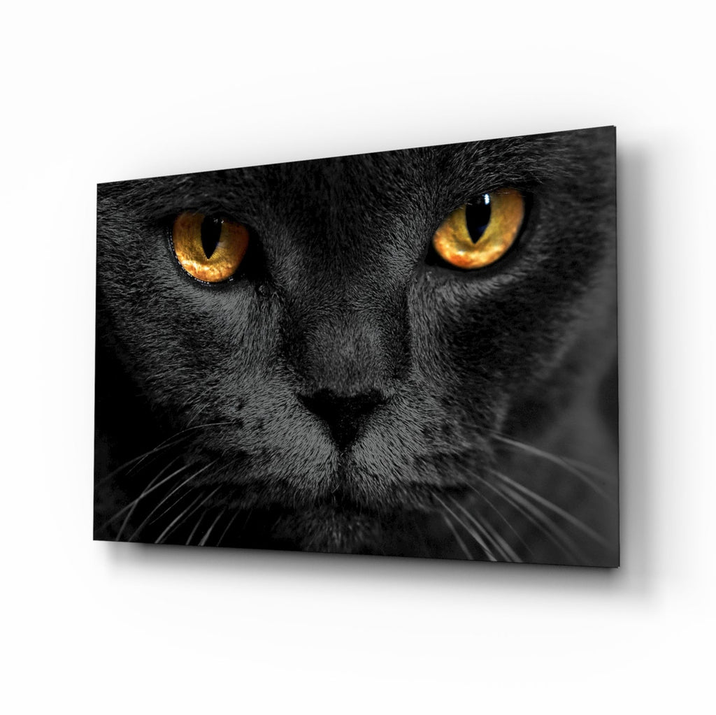Golden Eyed Black Cat Glass Wall Art