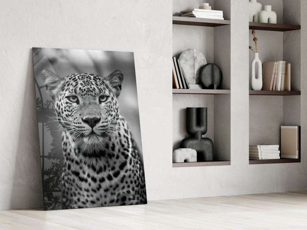 Bold Stare Leopard Portrait Glass Wall Art