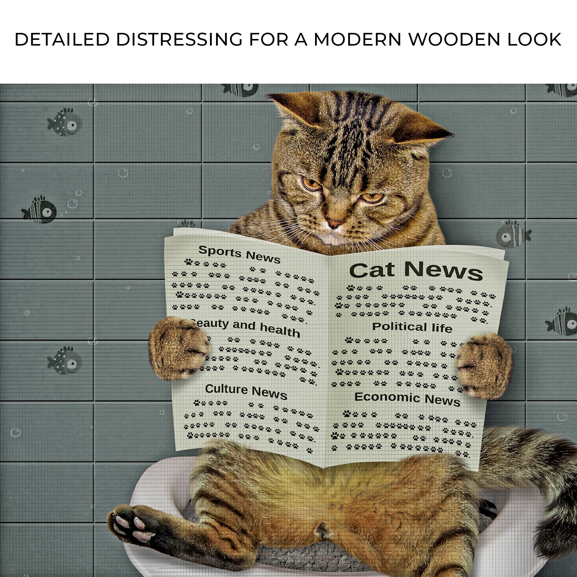Cat Toilet Reading Newspaper Canvas Wall Art - PhishStones Products