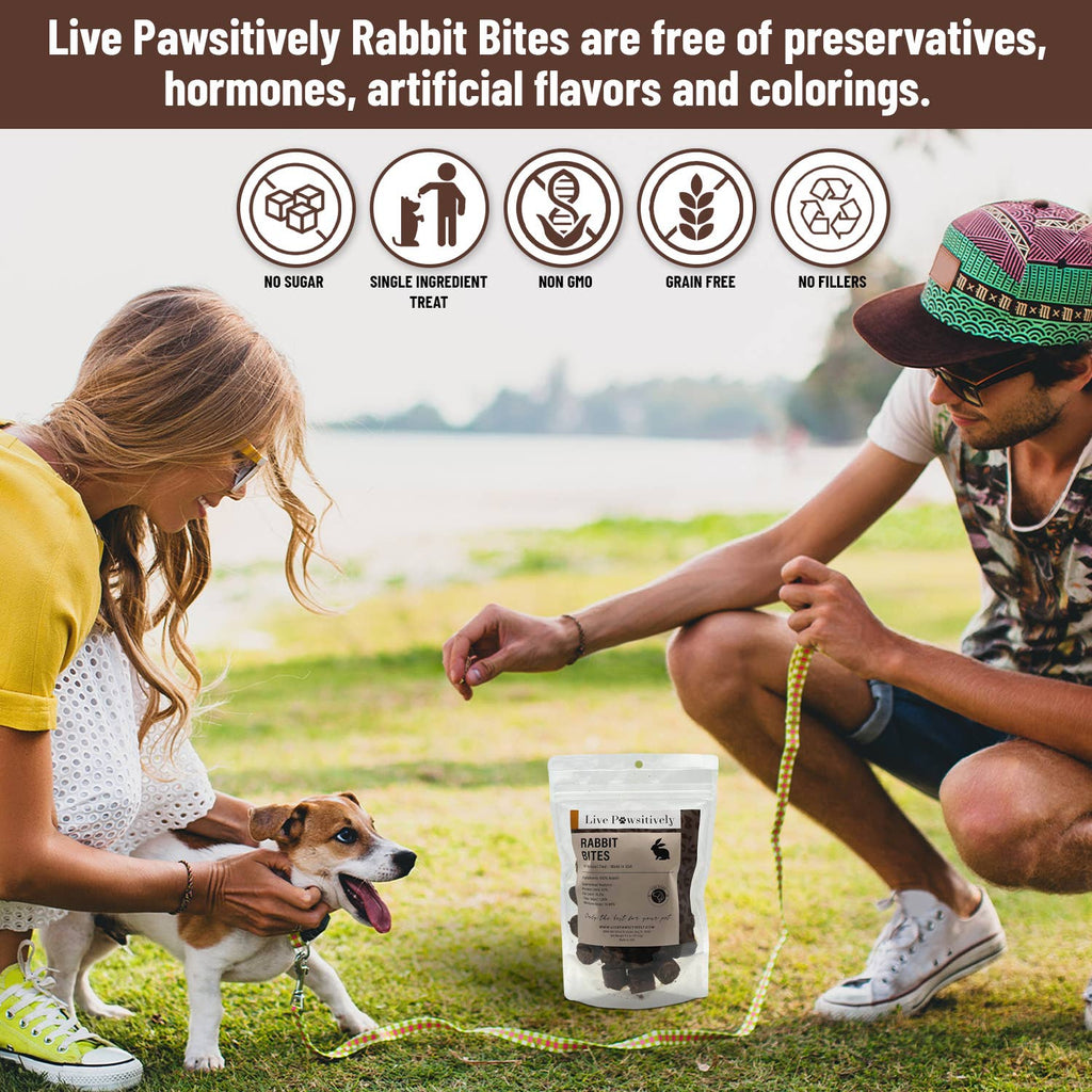 Rabbit Bites