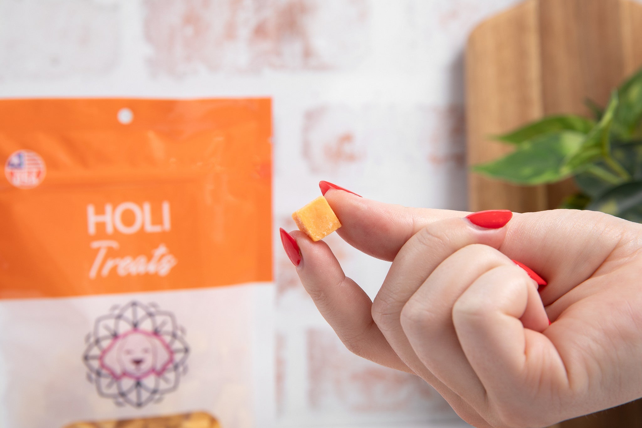 Cheddar Cheese Dog Treats - Freeze Dried - Single Ingredient