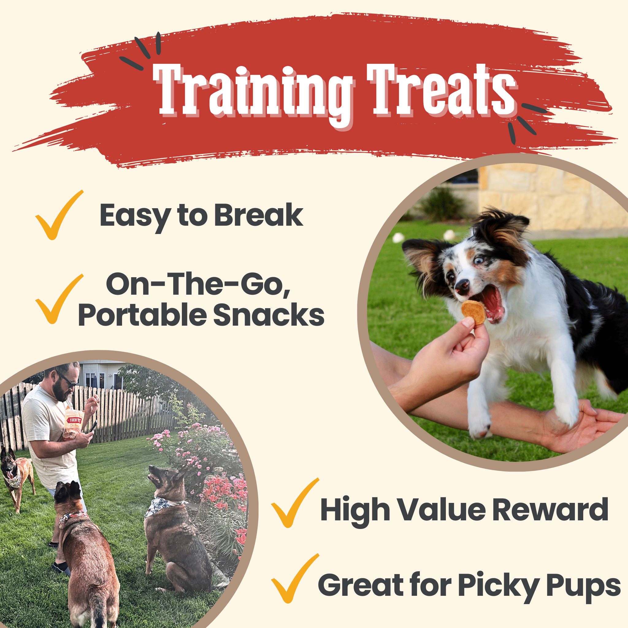 Chicken Chips for Dogs | All - Natural Single - Ingredient Dog Treats - PhishStones Products