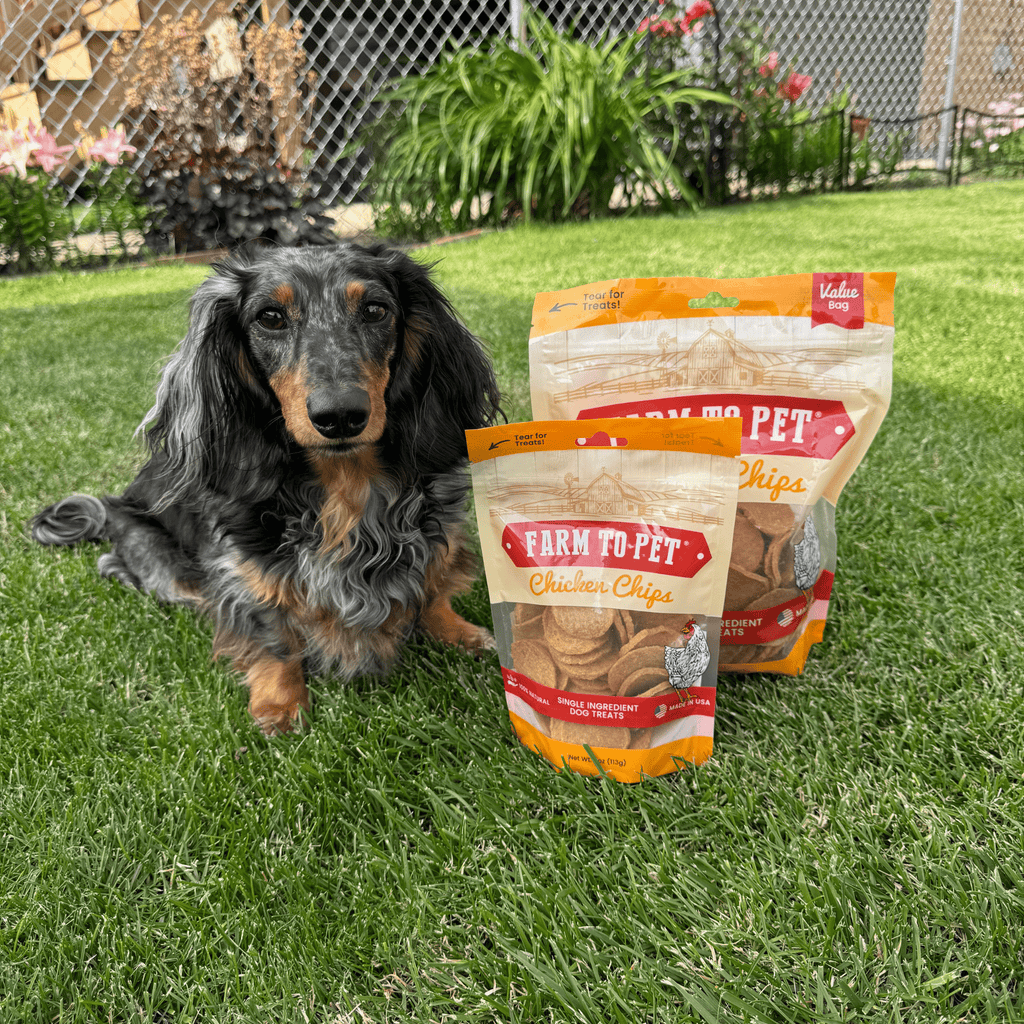 Chicken Chips for Dogs | All - Natural Single - Ingredient Dog Treats - PhishStones Products