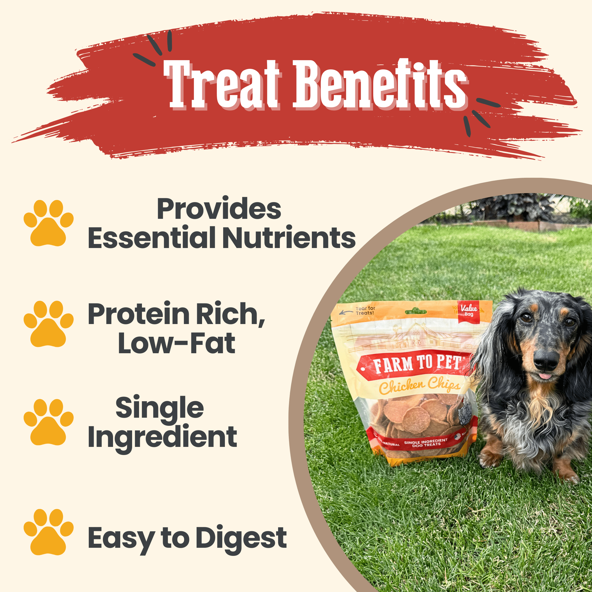Chicken Chips for Dogs | All - Natural Single - Ingredient Dog Treats - PhishStones Products