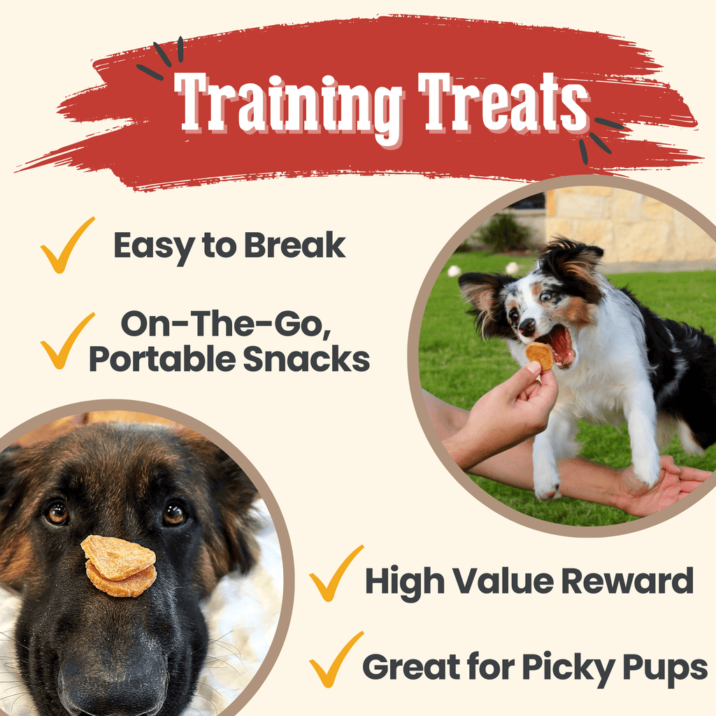 Chicken Chips for Dogs | All - Natural Single - Ingredient Dog Treats - PhishStones Products