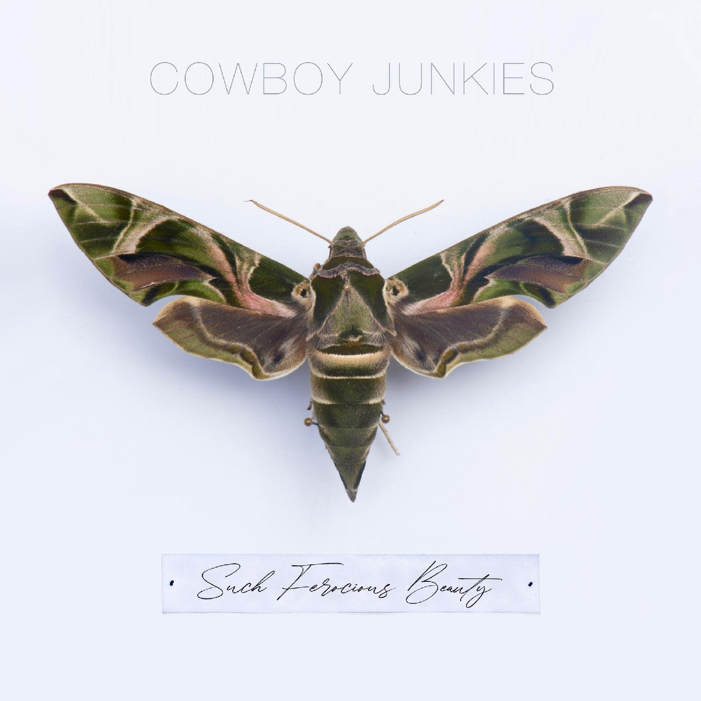 Cowboy Junkies - Such Ferocious Beauty |