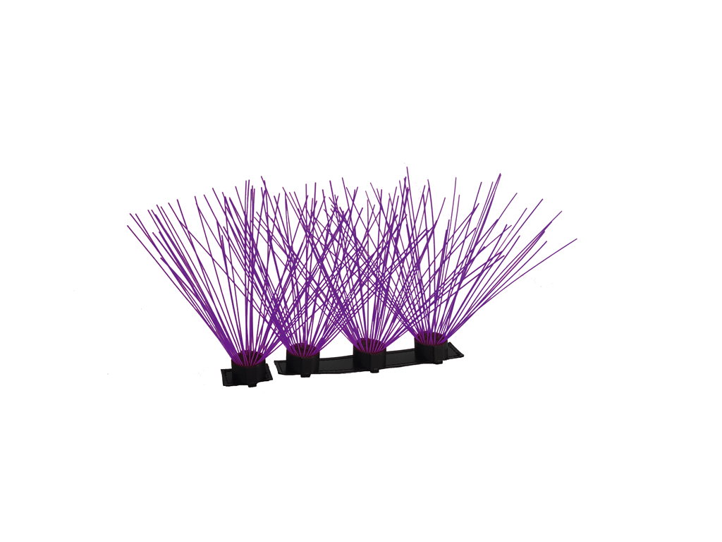 CoyoteWhiskers - PhishStones Products