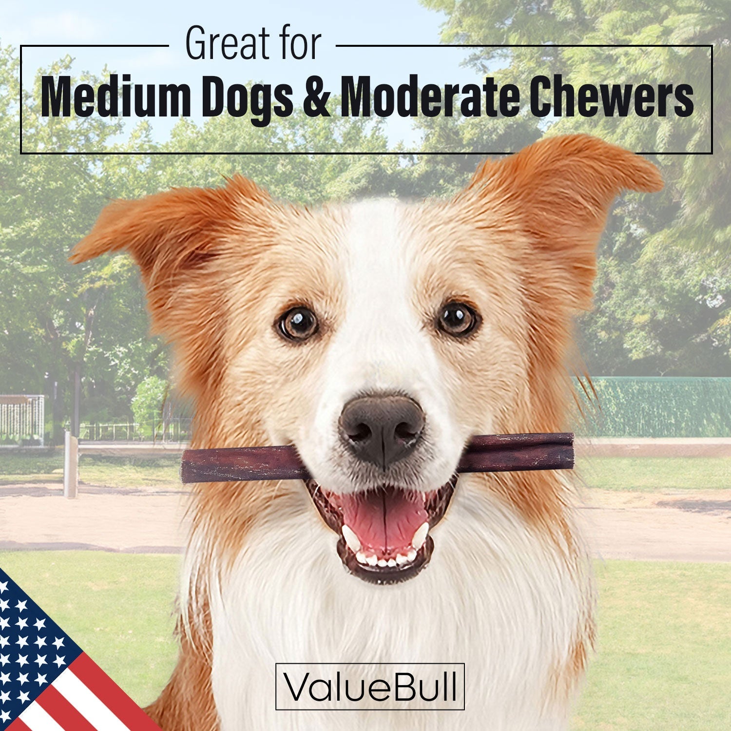 ValueBull USA Collagen Sticks for Dogs, 6 Inch Medium Chews, Natural Long-Lasting Dog Treats, 50 Count