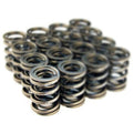 BLOX Racing B16A - B18C1-5 (1.6L - 1.8L DOHC Vtec) Performance Valve Spring BXPT-10300-SP