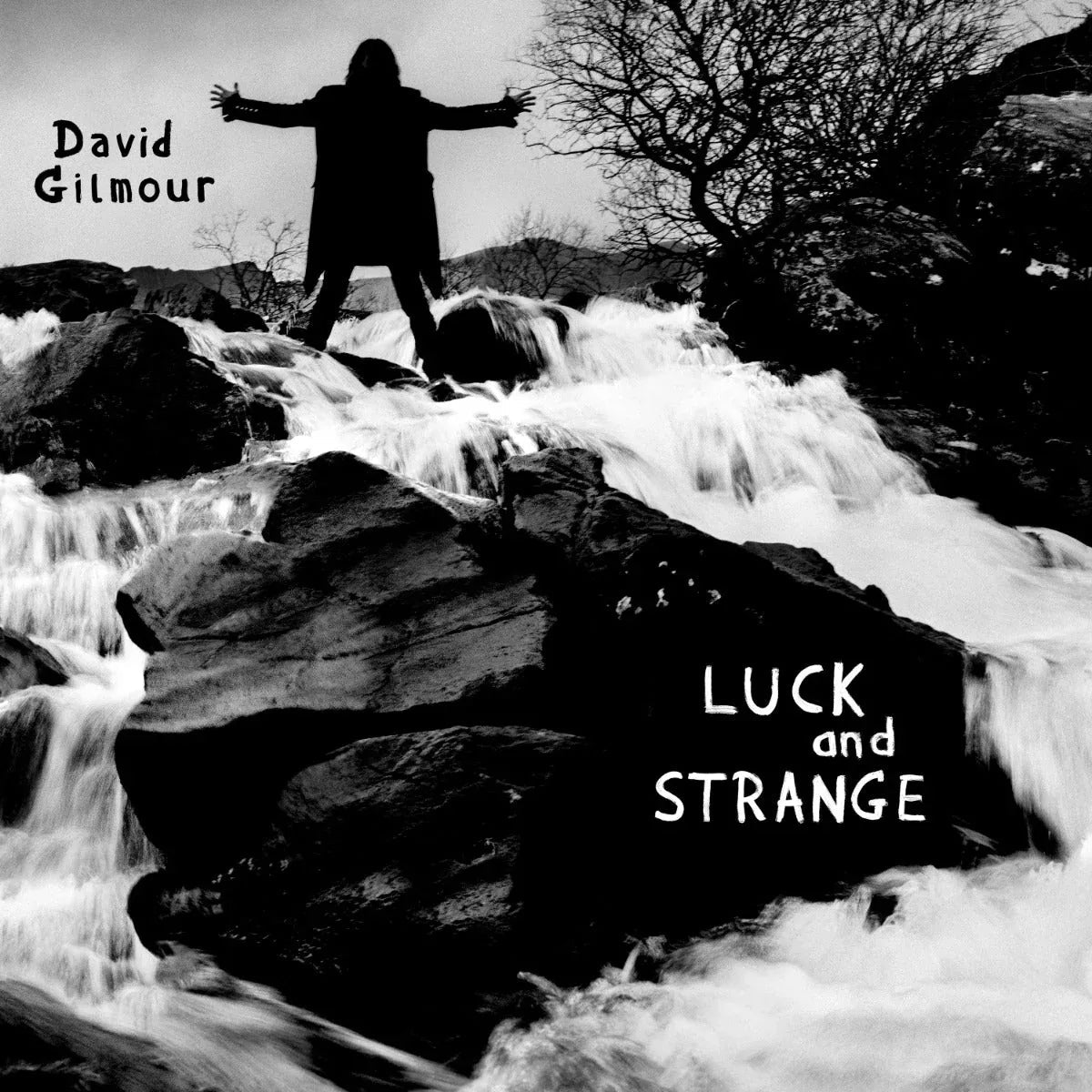 David Gilmour - Luck And Strange (LP) - PhishStones Products