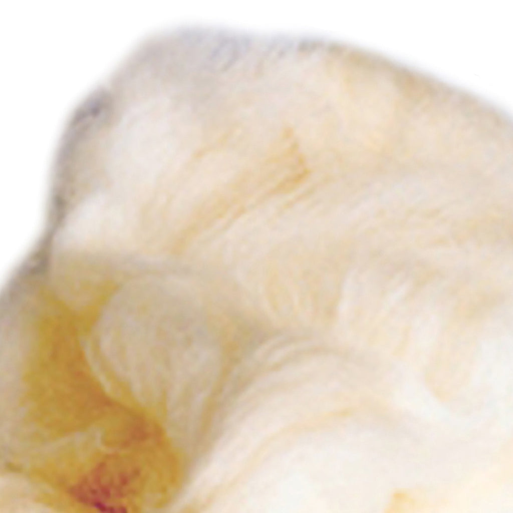 McKesson Lamb's Wool, 4 ounce 48128