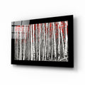 Black Border Birch Grove Red Canopy Glass Wall Art