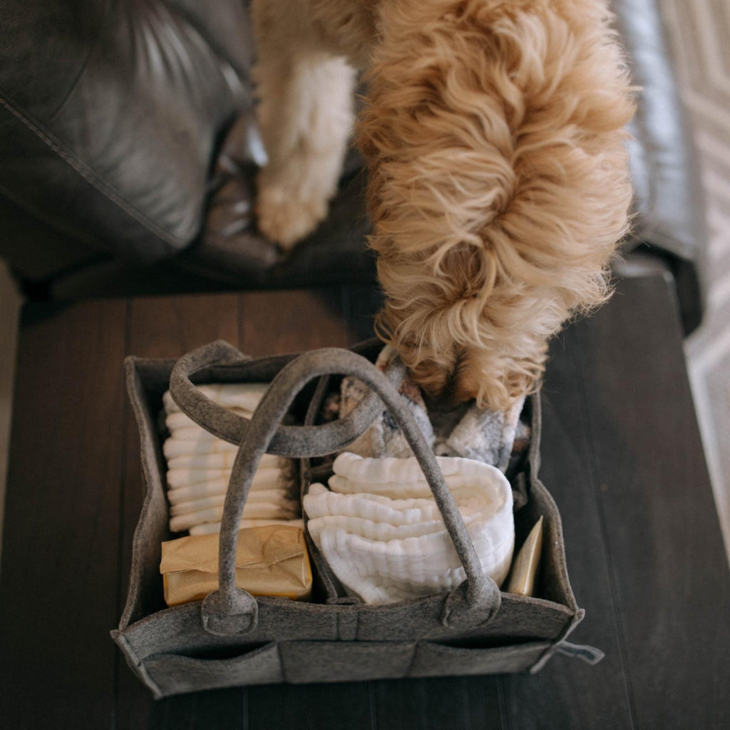 Diaper Caddy - PhishStones Products