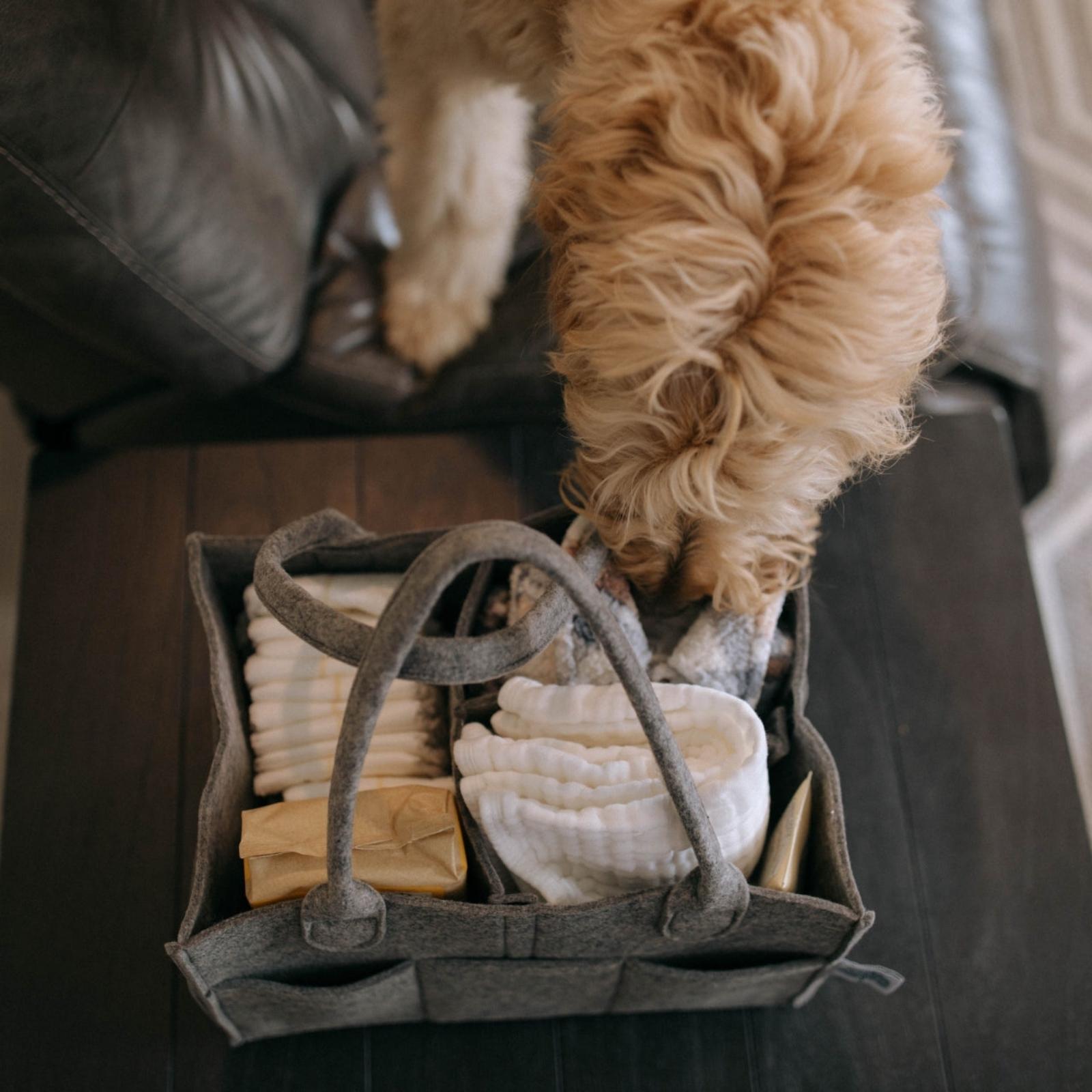 Diaper Caddy - PhishStones Products